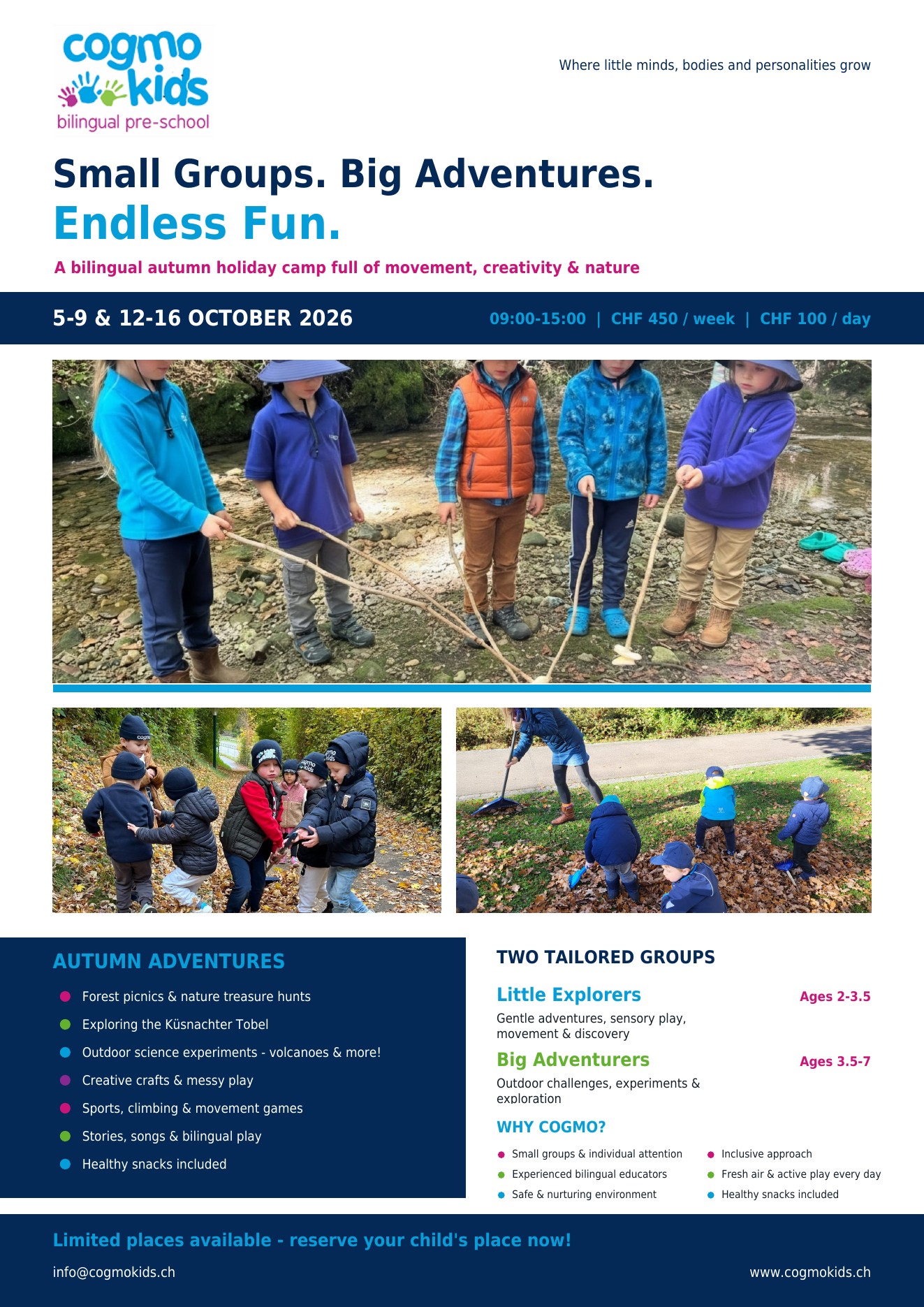 Cogmo Kids Autumn Holiday Camp poster
